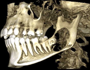 screen-shot-2016-12-13-at-7-58-32-pm