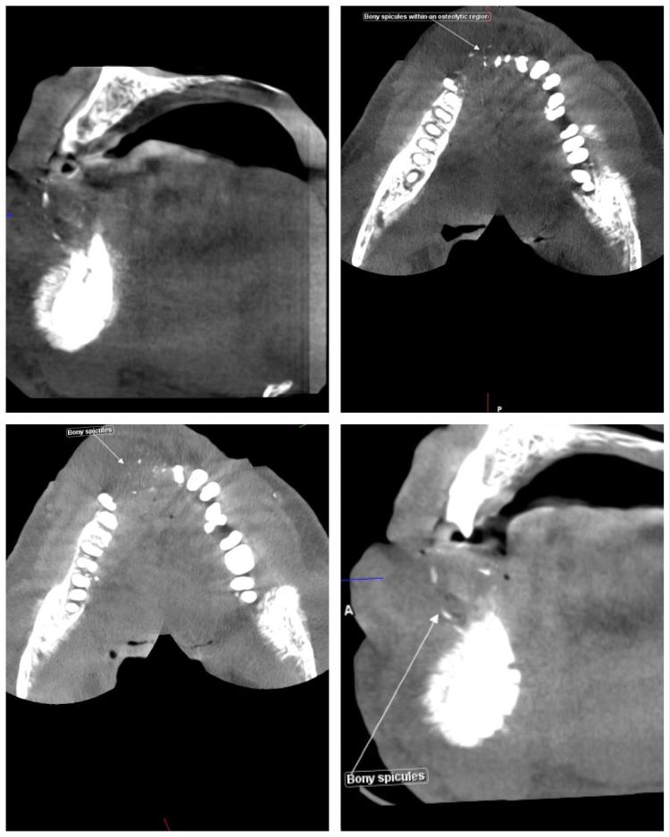 4d8029a8-4984-4ff7-9e38-0aeb0291dcd8-original